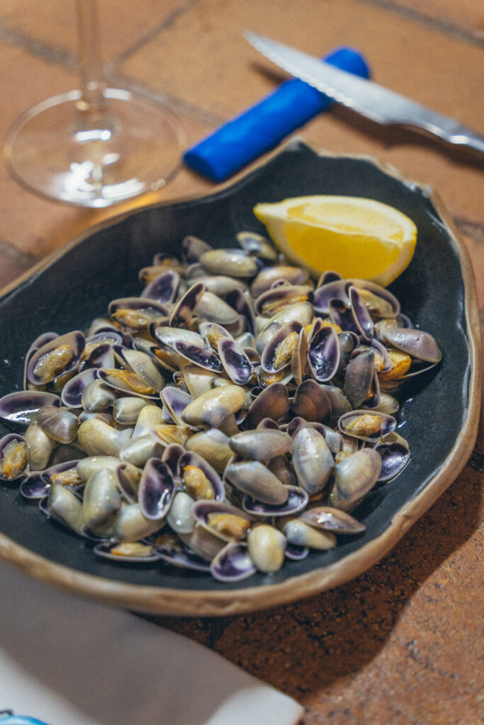 Clochinas al vapor
